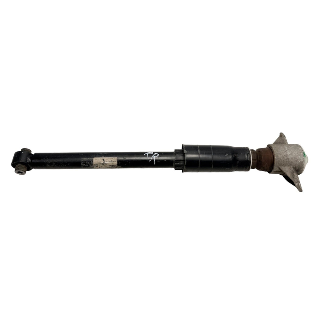 2017-2024 Audi A4 S4 S5 Rear Strut Shock Absorber LH & RH 8W6513035F