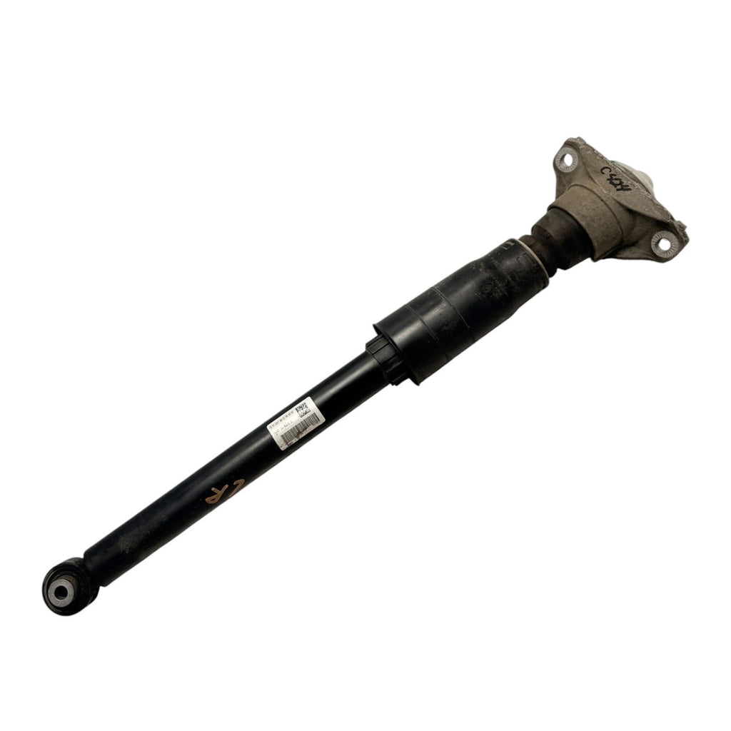 2017-2024 Audi A5 S5 S4 Rear Left Right Shock Absorber Strut OEM