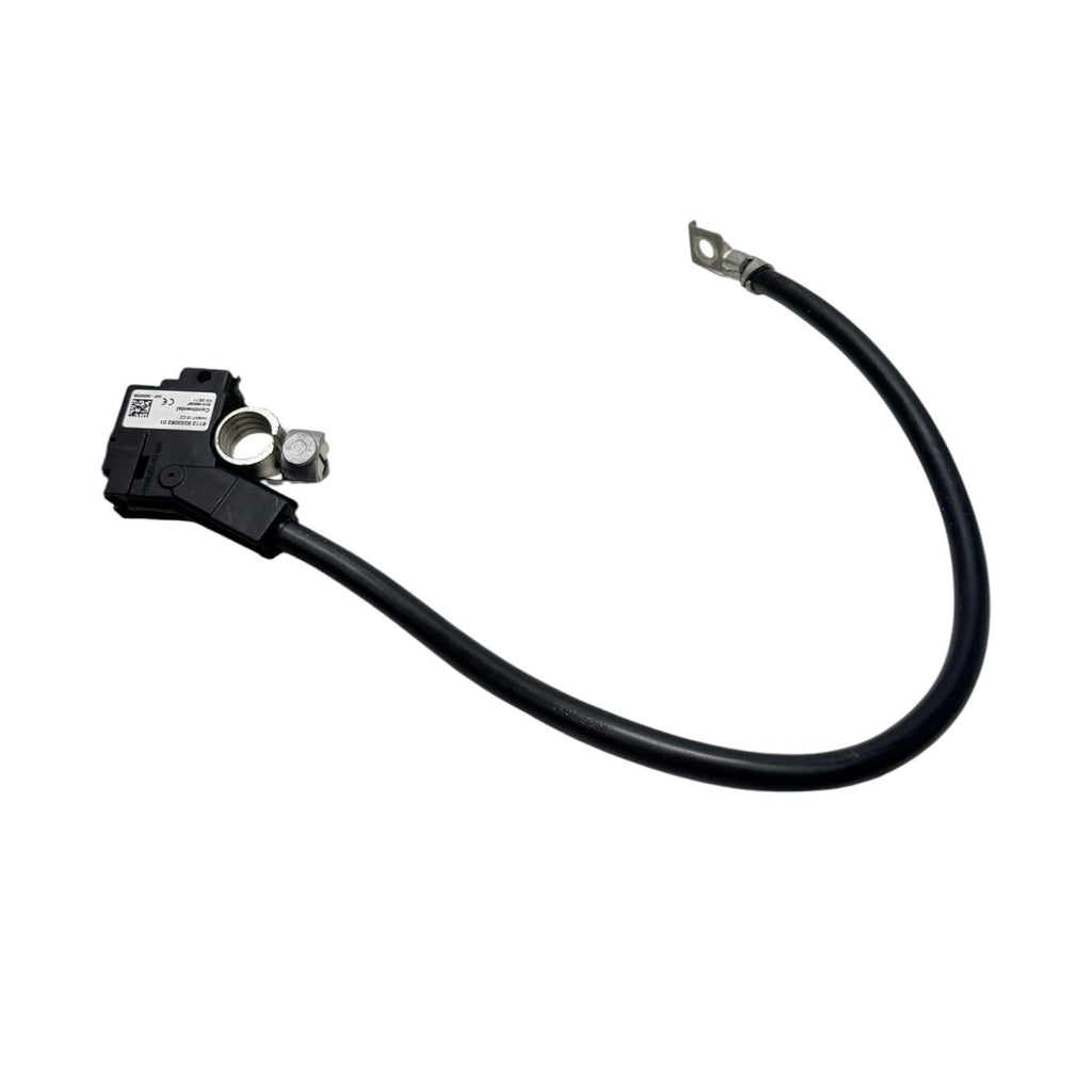 OEM BMW F07 F10 M5 F13 F06 M6 F01 F02 Negative Cable Terminal IBS Sensor 9253082