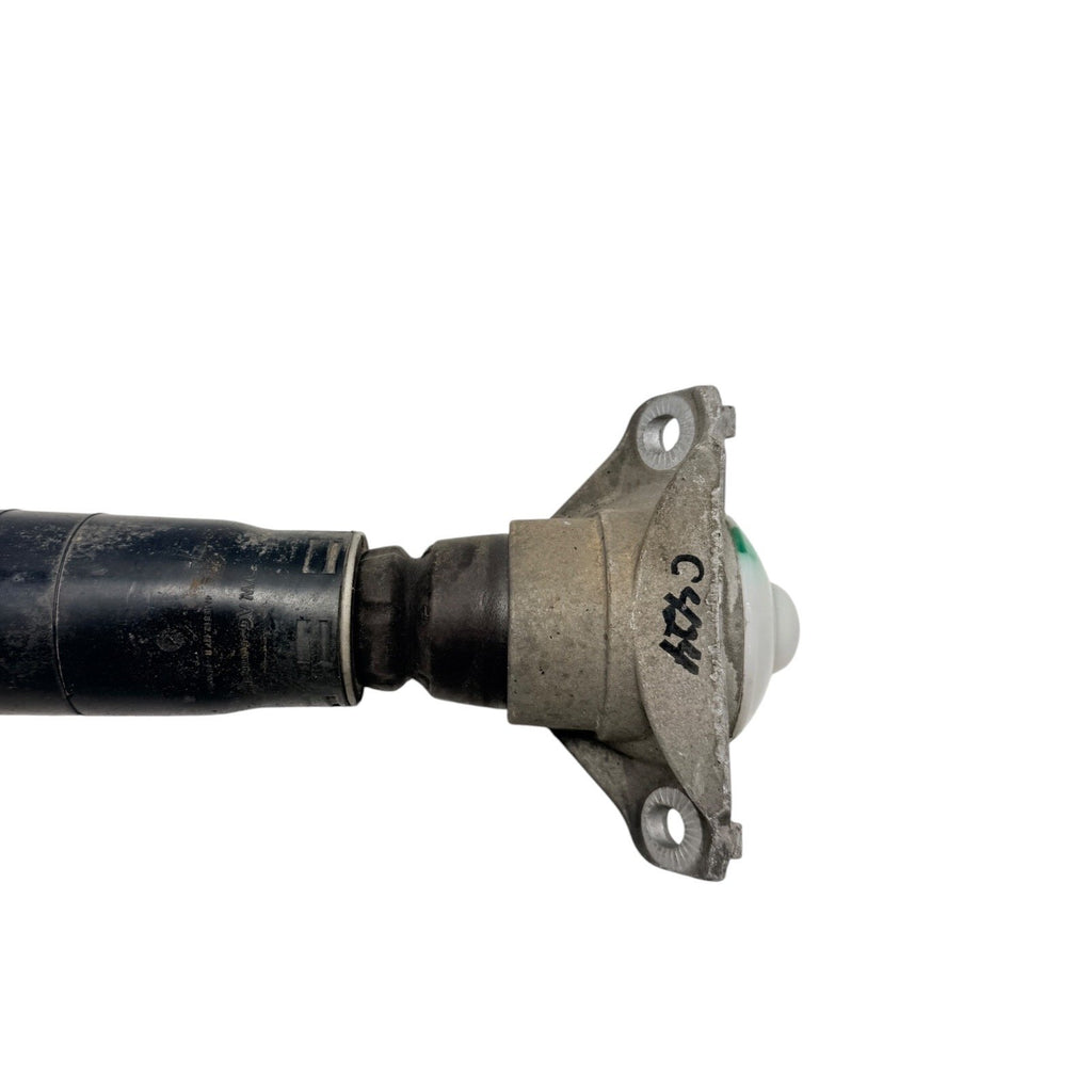 2017-2024 Audi A5 S5 S4 Rear Left Right Shock Absorber Strut OEM